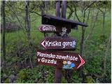 Gozd - Koča na Kriški gori